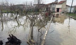 Elazığ'da evler ve tarım arazileri sular altında kaldı