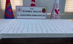 Jandarmadan tarihi eser operasyonu: Bin 47 sikke ele geçirildi