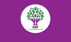 HDP TAM ADAY LİSTESİ