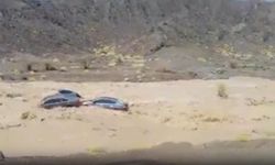 Umman’da çok sayıda araç selde sürüklendi