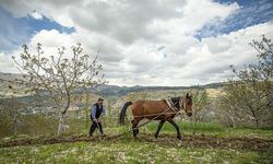 Bir saban ve bir atla 2 oğlunu doktor yaptı