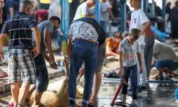 Sokakta kurban kesip atıklarını gömenlere 10 bin 319 lira ceza
