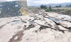 Kuraklık kabusu! Van Gölü’ne geri dönemezler