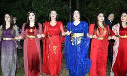 Şırnak'ta aşiret düğününde takılar göz doldurdu