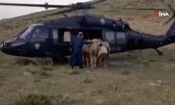 Hamile kadın skorsky helikopterle hastaneye ulaştırıldı