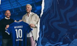 Wout Weghorst, Hoffenheim’da