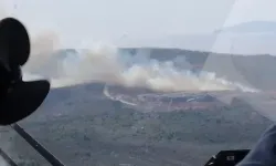 Çeşme'de orman yangını