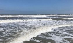 Karadeniz alarm veriyor! Veriler endişe verici, ekosistem tehlike altında…