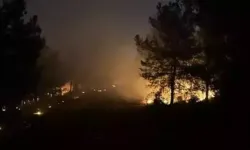 İzmir Buca'da orman yangını çıktı!