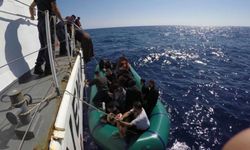 Muğla'da 26 göçmen yakalandı