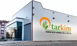 14 gündür tavan yapan hisse senedi, halka arzdan beri %279 yükseliş kaydetti