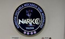 Yalova’da 14 kilo 600 gram skunk ele geçirildi