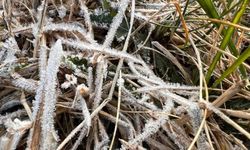 Kars'ta soğuk hava etkili oluyor