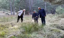 Köylülerin petrol heyecanı! Köyün her noktasından fışkırıyor