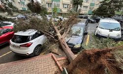 İstanbul'da fırtına hayatı olumsuz etkiledi