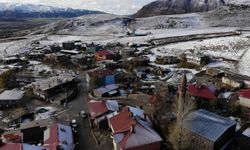 Bitlis Tatvan'da köyler beyaza büründü