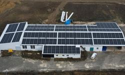 Kastamonu'da sarımsak fabrikasının enerjisi güneşten sağlanıyor