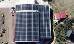 Soğuk hava deposunun enerjisi çatısındaki bin 110 güneş panelinden sağlanıyor