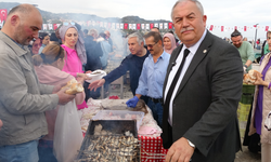 Binlerce vatandaş hamsi festivalinde buluştu