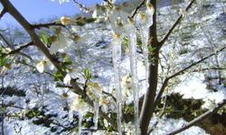 Meteorolojiden uyarı üstüne uyarı! Tarih verildi