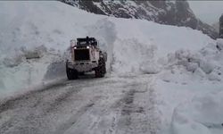 Yüksekova’da düşen çığ nedeniyle kapanan yol ulaşıma açıldı