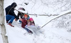 Kırklareli'nde kar yağışı etkisini arttırdı