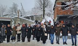 Sakarya'daki festivalde yaklaşık 1 ton hamsi dağıtıldı