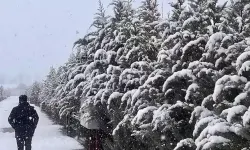 Bolu okullar tatil mi? 10 Ocak Çarşamba Bolu'da okullar tatil mi? Bolu Valiliği kar tatili açıklaması var mı?