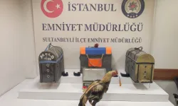 Horoz dövüşüne suçüstü! 122 bin lira ceza kesildi