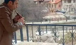 Tek kişilik konser! Keçi yarım saat dinledi...