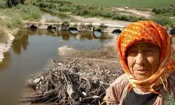 Kemal Sunal’ın filmine de mekan olmuştu! Sarıkemer Köprüsü'nde büyük tehlike