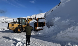 Çığın düştüğü Ardahan-Artvin kara yolunda genişletme çalışması sürüyor