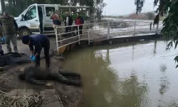 Sulama kanalında erkek cesedi bulundu