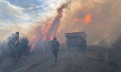 Karabük'te orman yangını