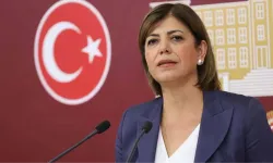 Meral Danış Beştaş, seçimde oy kullanamayacak