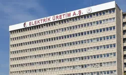 Türkiye'nin en büyük elektrik üretim şirketleri belli oldu