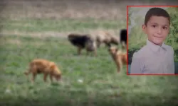 Ankara'da köpek saldırmıştı! Tunahan'ın sağlık durumu nasıl?