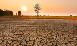 Dünya Meteoroloji Örgütü kötü haberi verdi! El Nino etkisi olacak