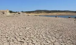 Bodrum'a kuraklık uyarısı! Sulama temininde ciddi zorluklar gündeme gelecektir