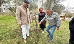 İnşaat temel kazısında korkutan görüntü!