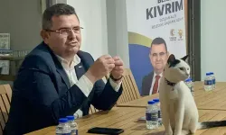 Kedi masaya çıktı!  AK Parti adayının anlattığı proje dikkat çekti