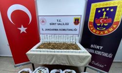 Siirt'te bir araçta 15 bin mermi ele geçirildi: 5 tutuklama