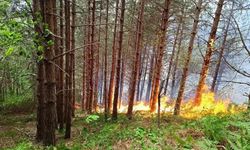 Kastamonu'da orman ve köy yangını