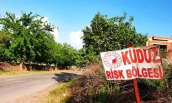 Hatay'da karantina kararı! Valilikten peş peşe açıklama