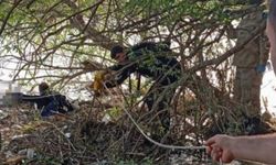 Hatay'da Asi Nehri'nden ceset çıkarıldı