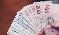 Yazlığını kiraya verenlere 600 bin lira ceza kesildi