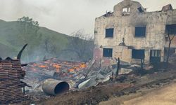 Kastamonu'da evde çıkan yangın başka bir eve, ahır ve seraya sıçradı