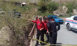 Hakkari'de dereye düşen kişinin bulunması için çalışma başlatıldı