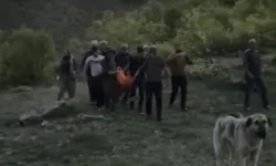 Tunceli'de ayı saldırısına uğrayan köylü yaralandı