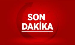 Son Dakika... Kemik parçaları Korhan Berzeg'a ait çıktı!